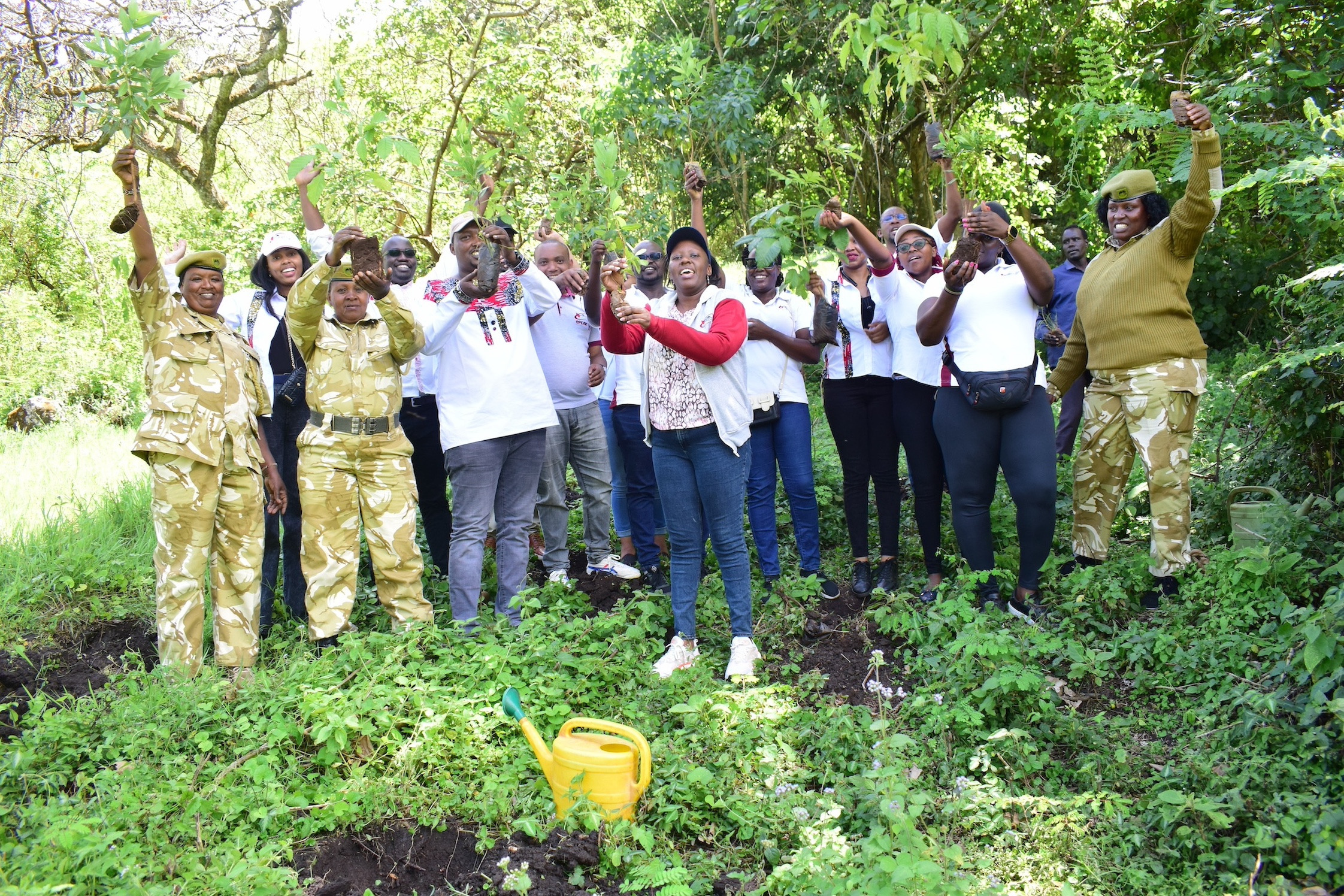 Tree Planting at Barng'etuny Farm on January 17, 2025