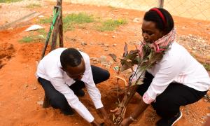 KUCCPS in Wajir