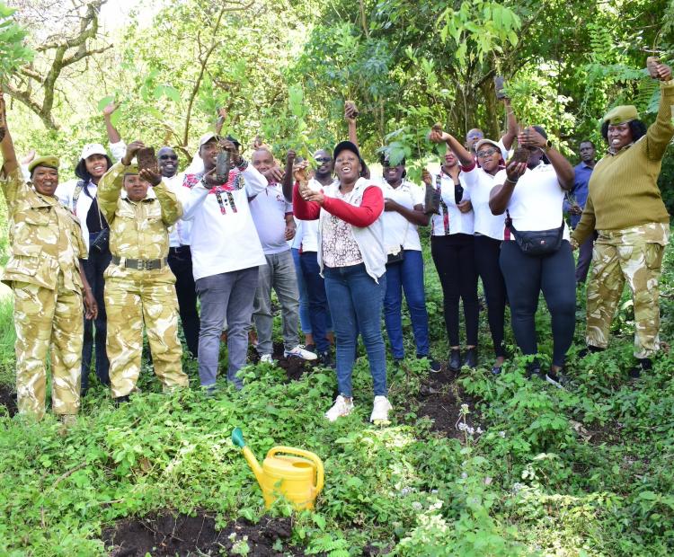 Tree Planting at Barng'etuny Farm on January 17, 2025