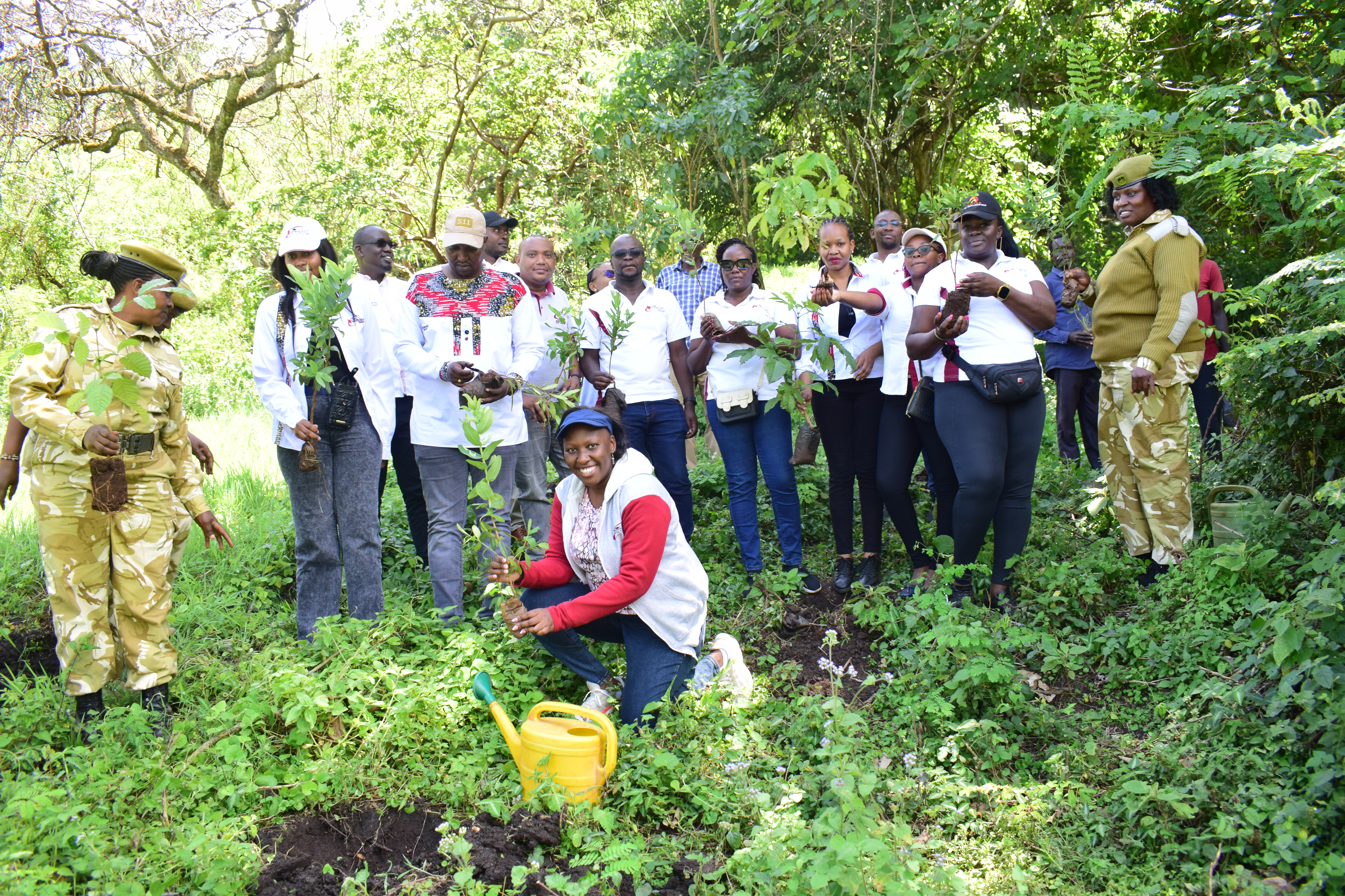 KUCCPS staff during tree planting